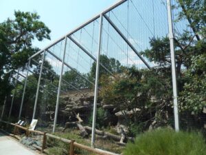 Eagle Aviary Mesh