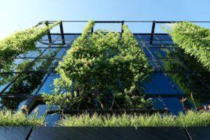 Outdoor Green Wall System