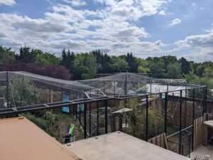 Safari Park Mesh