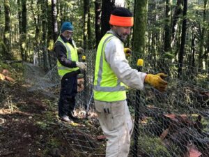 Wildlife Protection Mesh